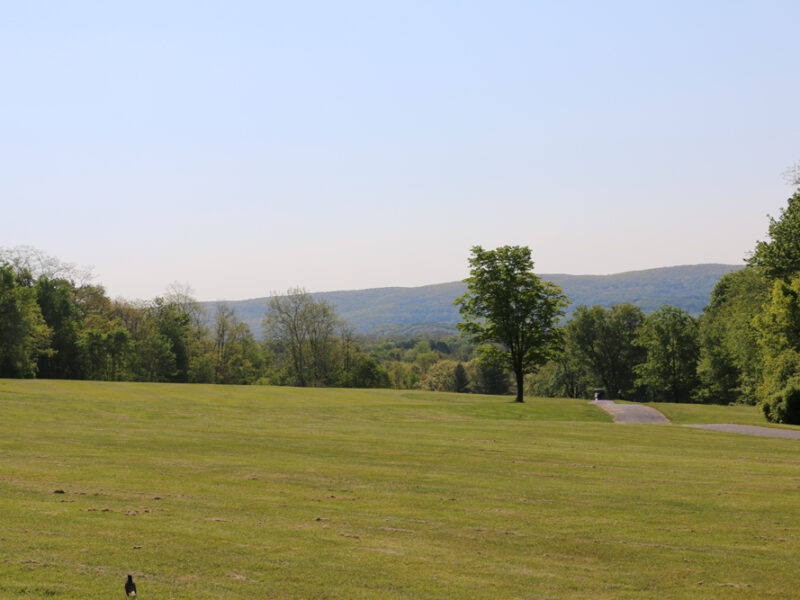 beekman golf course