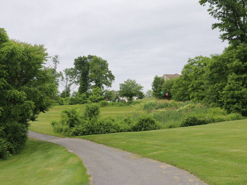 beekman golf